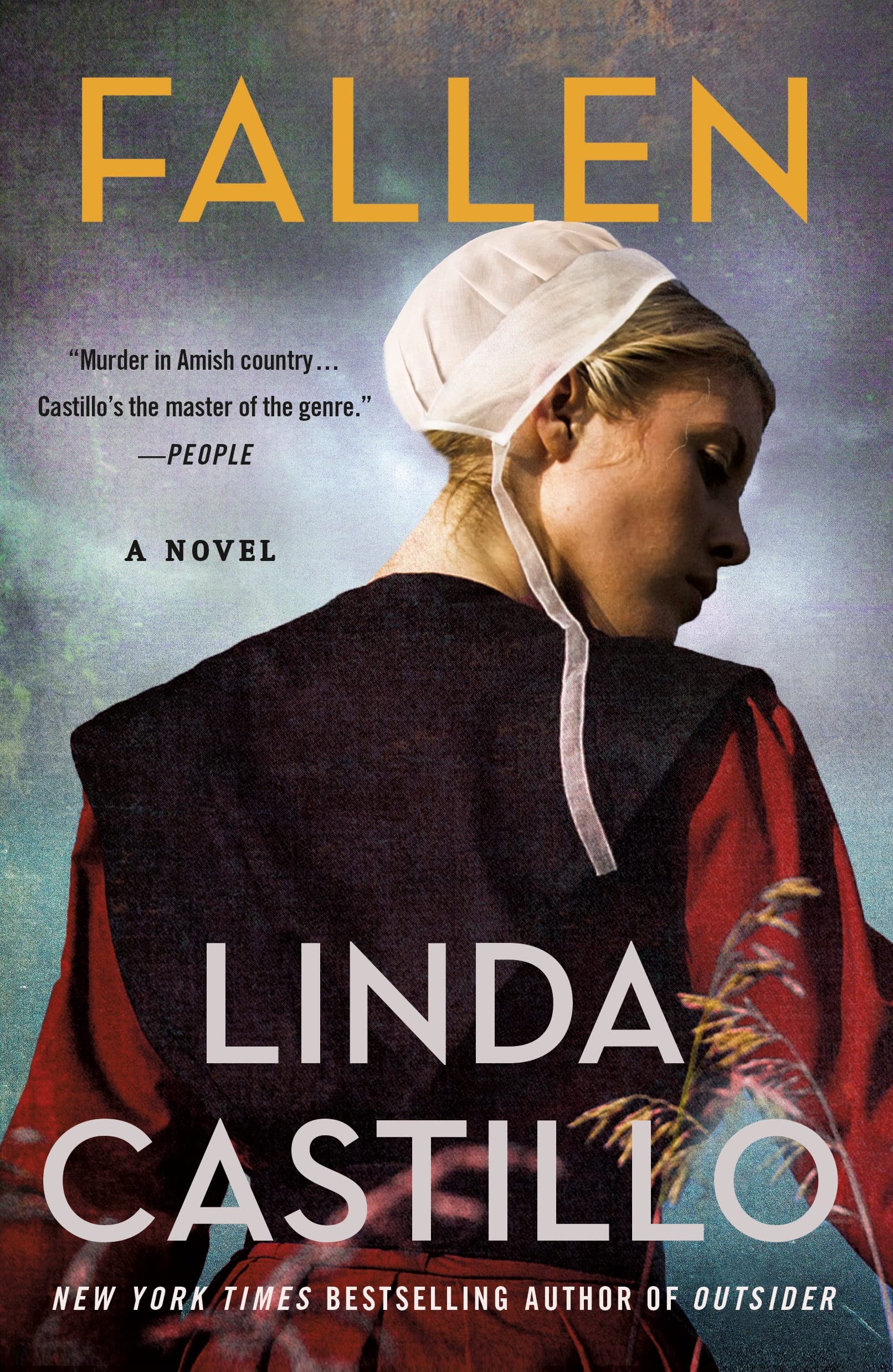 Fallen: A Novel of Suspense: 13 (Kate Burkholder)