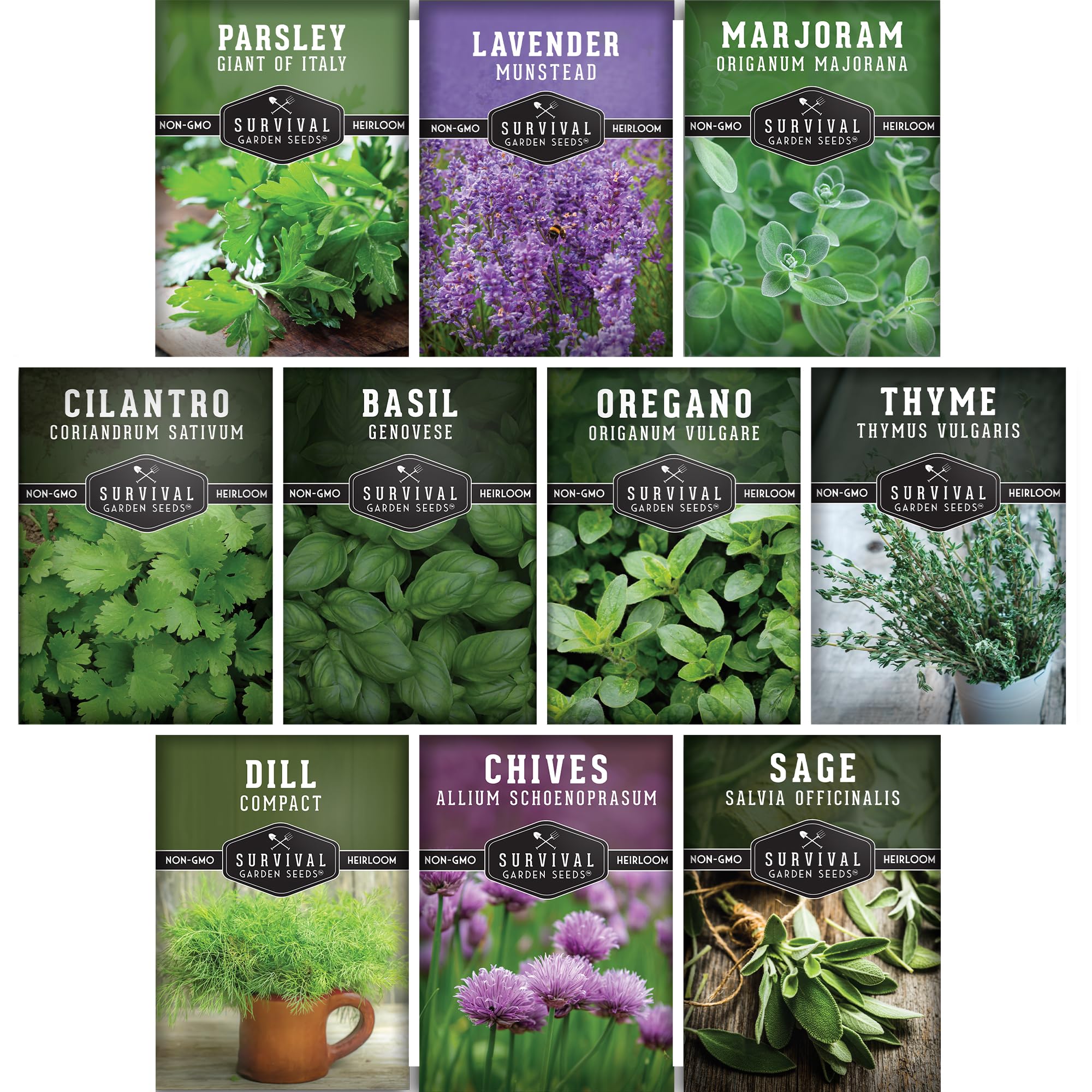 10 Herb Seeds Collection - Variety Pack to Grow Basil, Chives, Cilantro, Dill, Lavender, Marjoram, Oregano, Parsley, Sage & Thyme Herb Plants - Non-GMO Heirloom Seed Varieties - Survival Garden Seeds