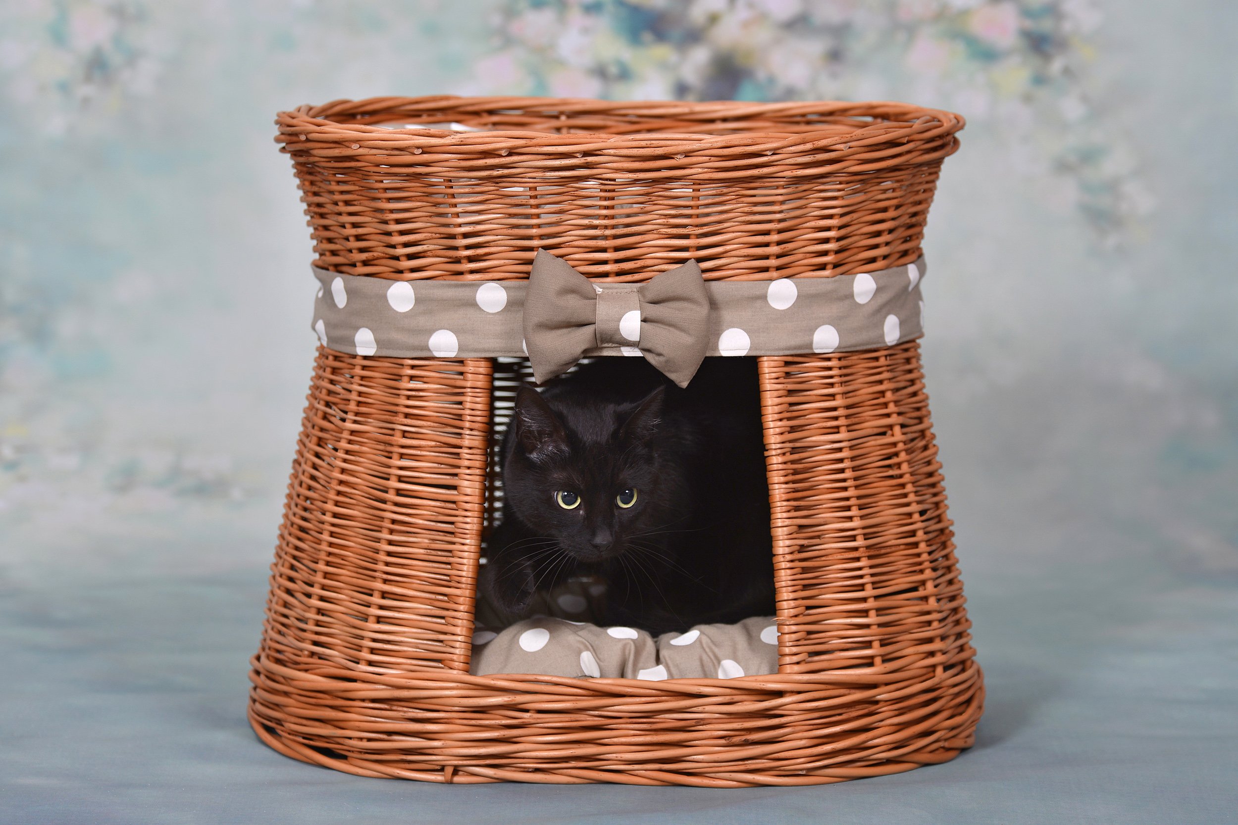 e-wicker24 Cuccia Gatto Vimini a 2 piani Naturale Cuccia Gato Interno Cesta per Cani Fatto a Mano Letto per Cani Lettini per Cane con 2 Morbidi Cuscini Letto per Animali