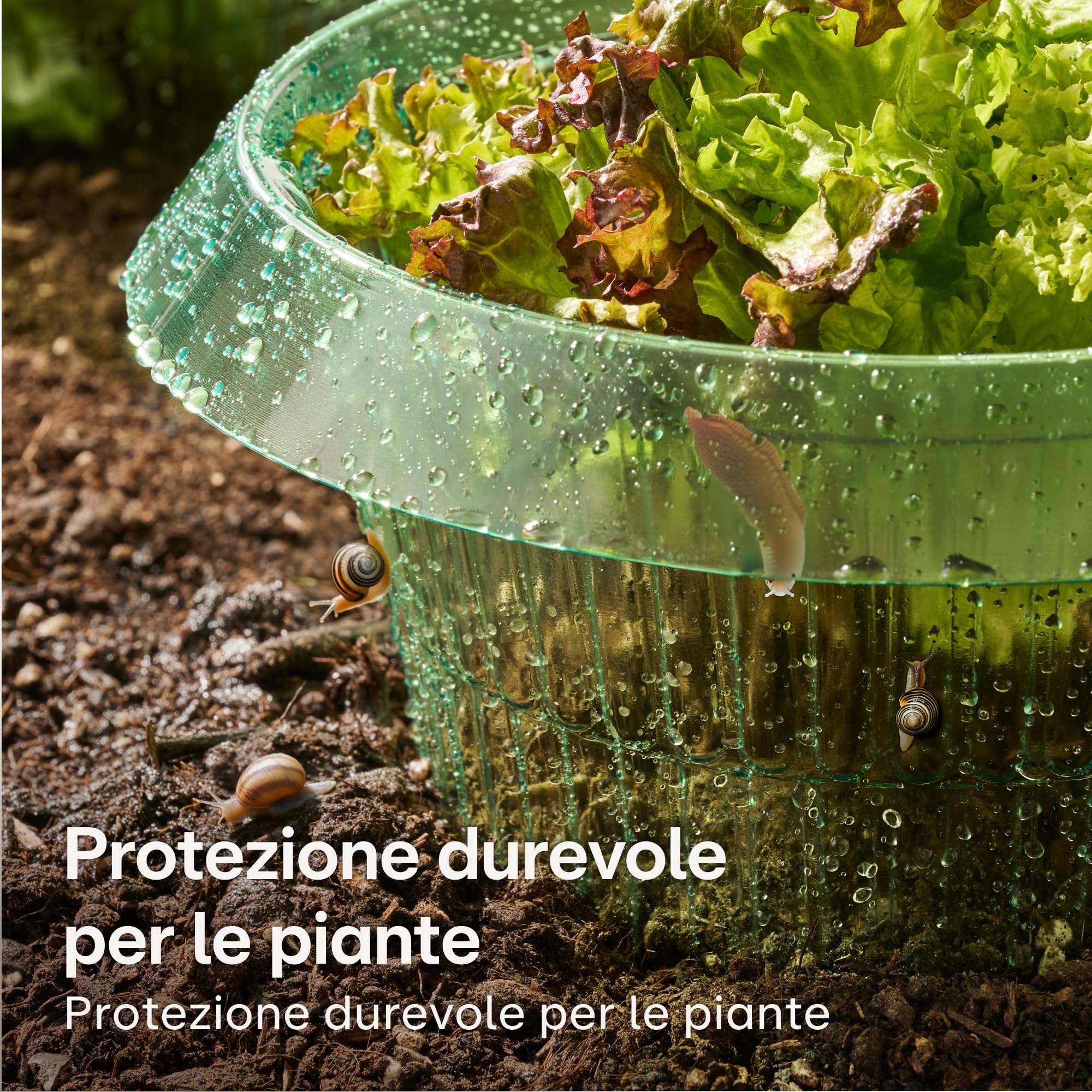 Praknu Anti Lumache Anelli - 10 Pezzi Protezione Contra Lumache Riutilizzabili - Durevole - Resistente alle Intemperie - per Lattughe, Ortaggi E Fiori - Efficace Lumaca Bariere
