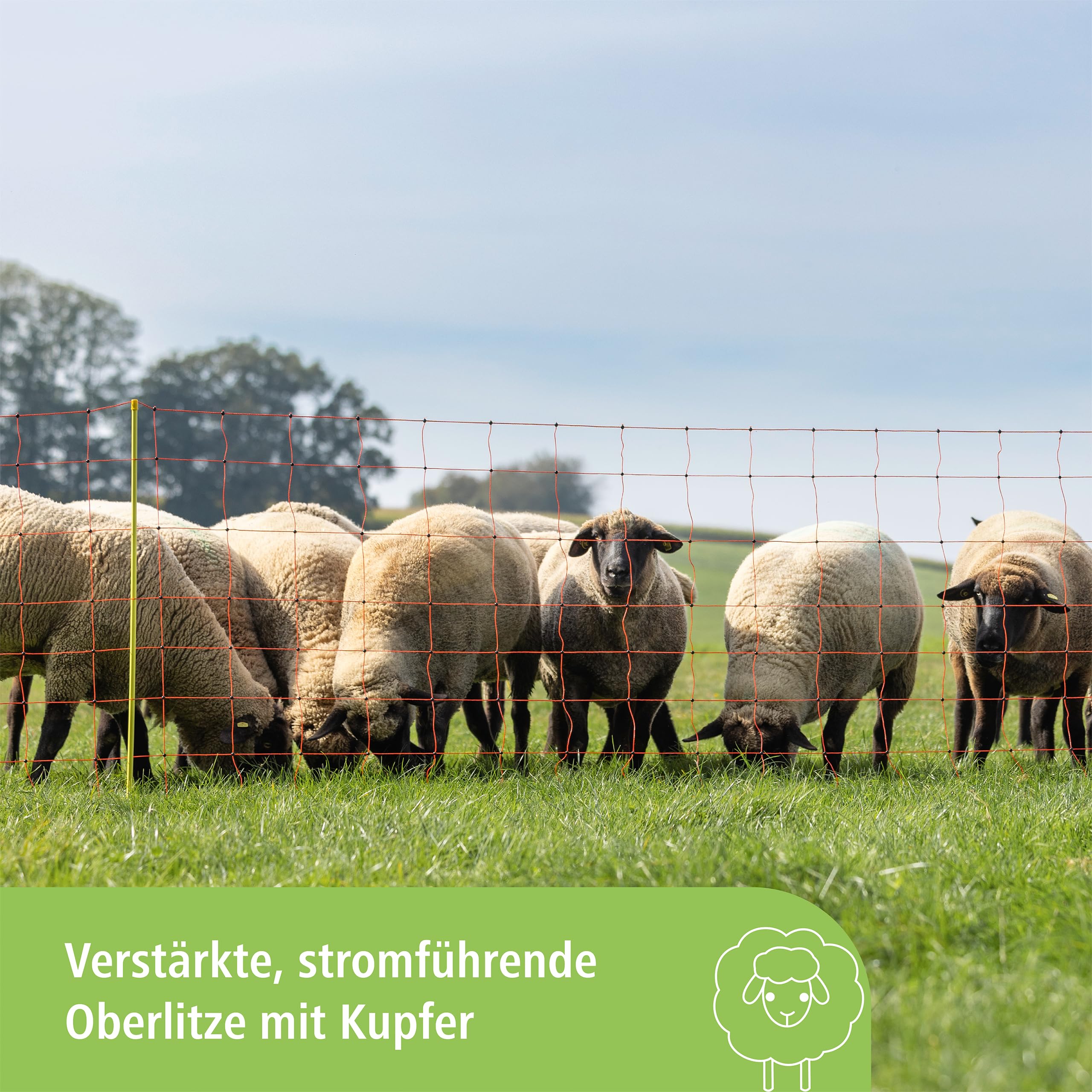Kerbl Hobbyfarming Rete per Ovini ClassicNet, Recinzione Mobile per pascolo, Rete da pascolo, Doppia Punta, Arancione, 50m x 108cm, 13 Pali, 3 Anni di Garanzia sulla stabilità ai Raggi UV