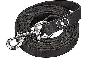 Leatherberg Premium Leather Dog Leash - Black (6ft x 3/4in)