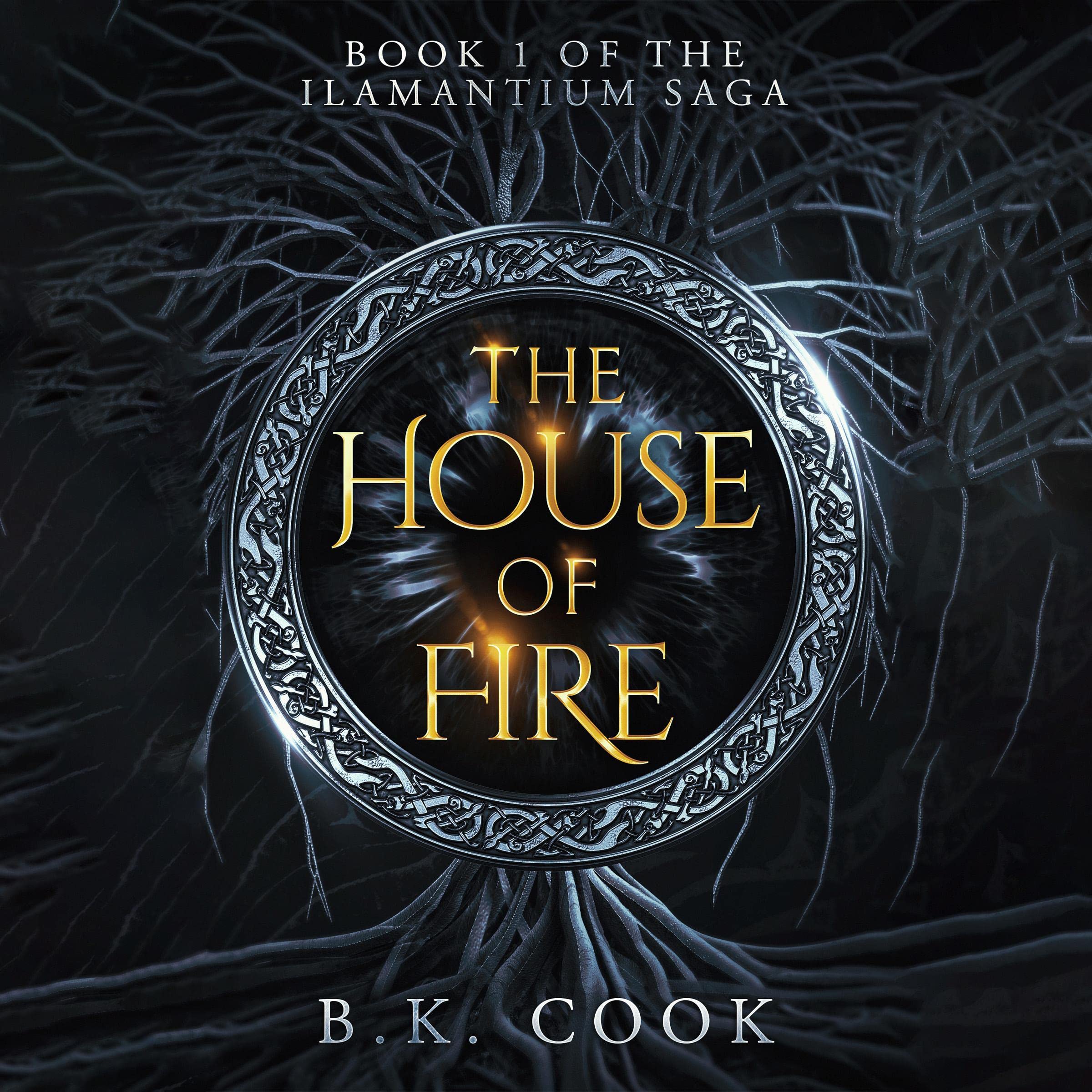 Cover art for The House of Fire