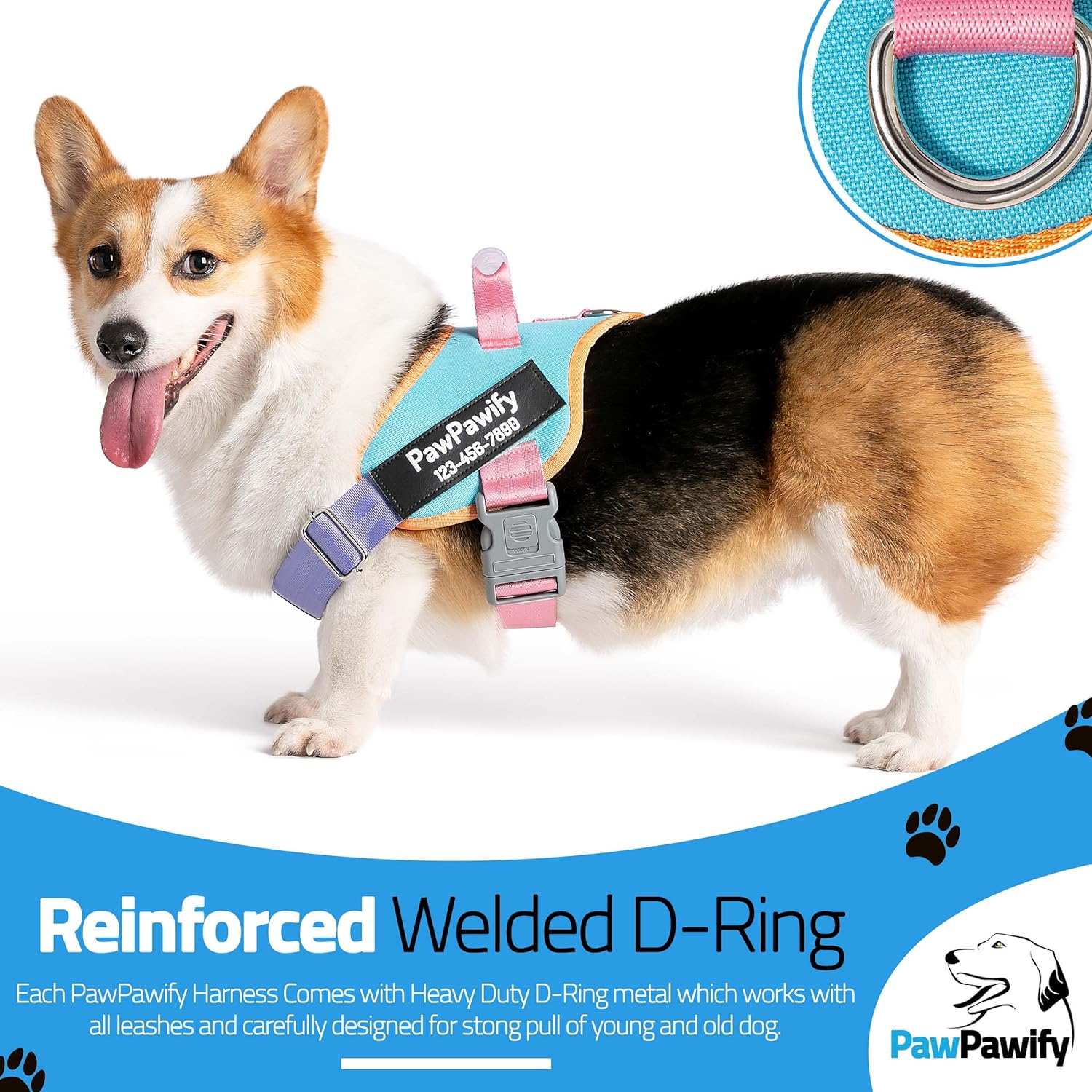 PawPawify Custom No Pull Dog Harness with Name and Phone Number, Training and Walking,Heavy Duty Personalized Pet Vest to Prevent Tugging, Pulling, or Choking