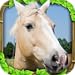 Wild Horse Simulator