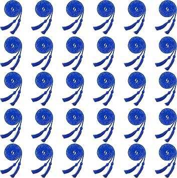 30 Pack Graduation Honor Cord Yarn Honor Cords with Tassel for High School Bachelor Gown College Graduation Students Blue