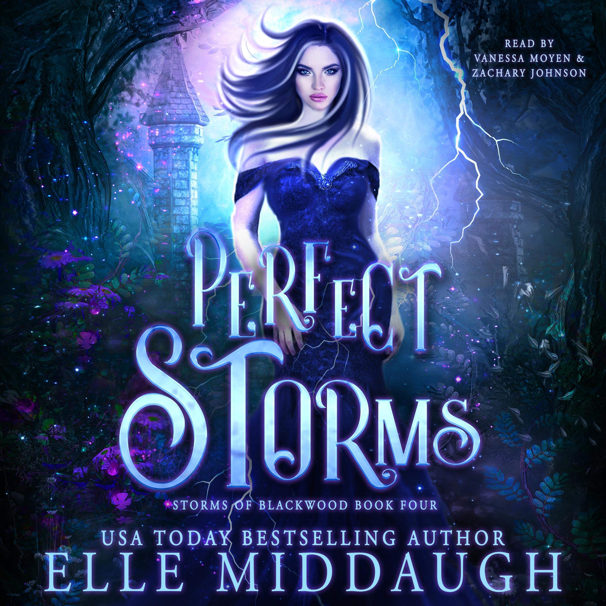 Cover art for Perfect Storms