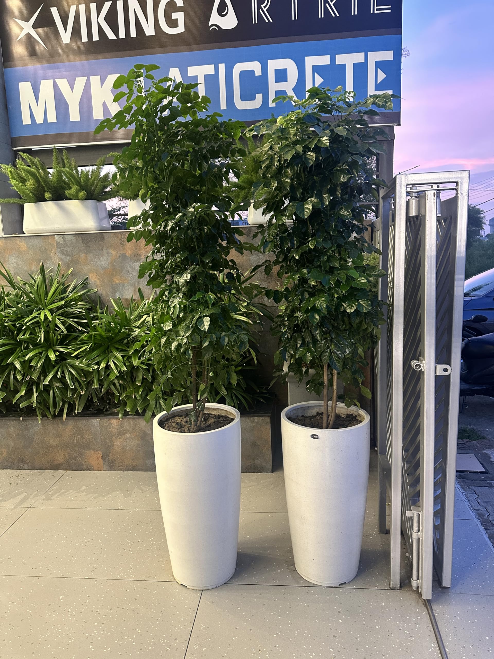 Decora Gleyz Tall Pot - Stone White (Small) -4 Decora Gleyz Tall Pot - Stone White (Small) -4