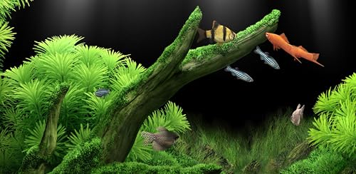 Aquarium 3D Pro Live Wallpaper – vue 5