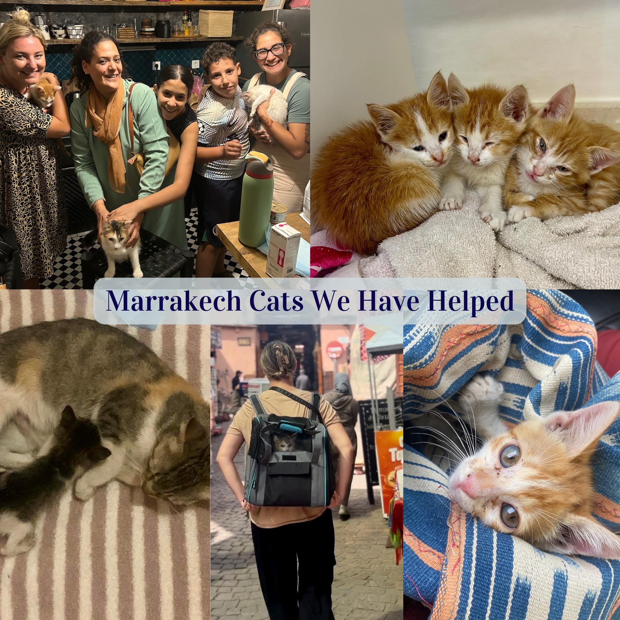 MOROCCAN MCHICHA Moroccan Blue Nila Powder for Nila Mask with Instructions, Moroccan Skin Care, 30 grams