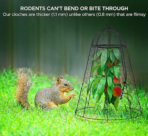 Miniatura 5 de Protectores de plantas de animales jaula de plantas de 9 x 9 pulgadas para proteger el jardín de verduras al aire libre de conejos, pollo, juego de