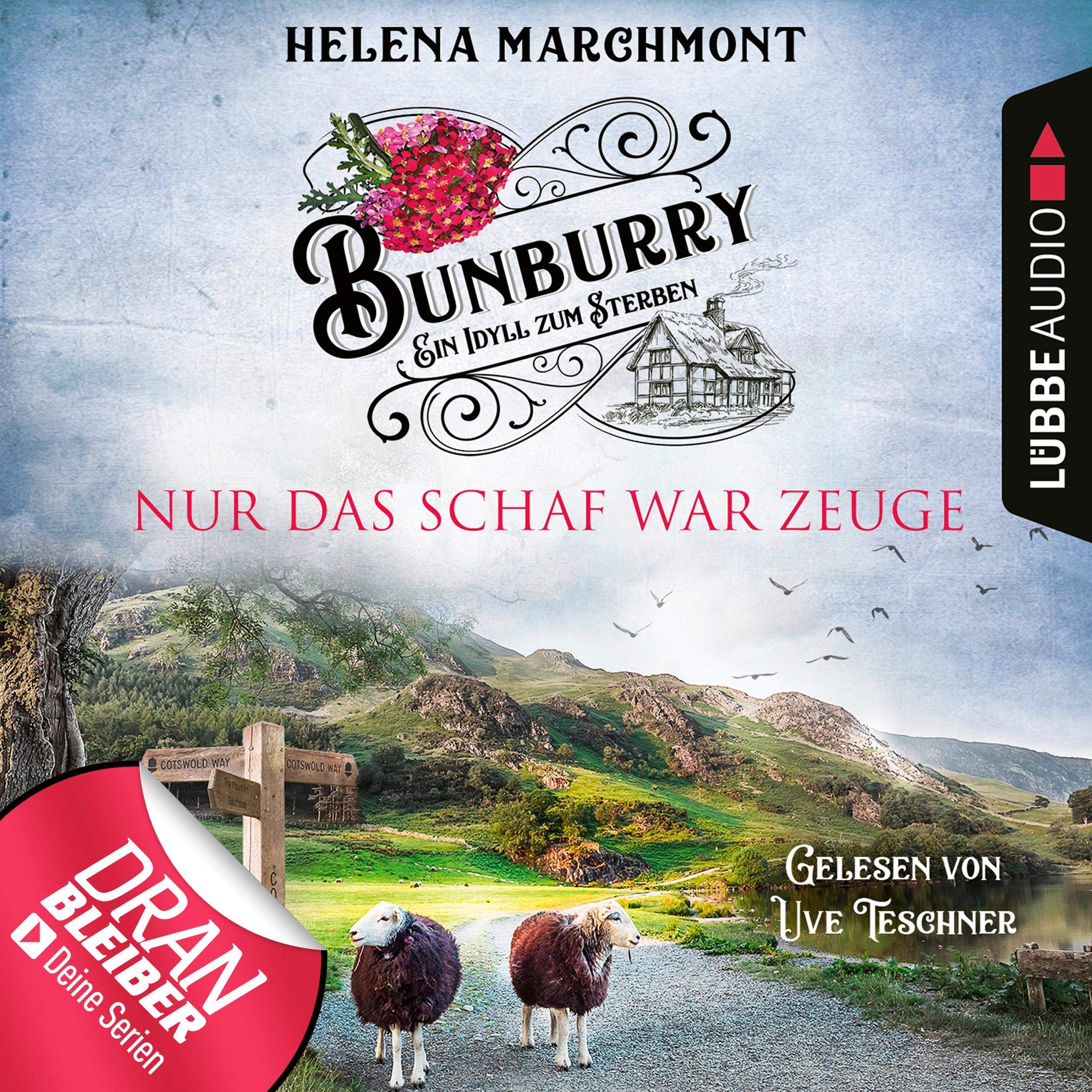 Cover art for Nur das Schaf war Zeuge