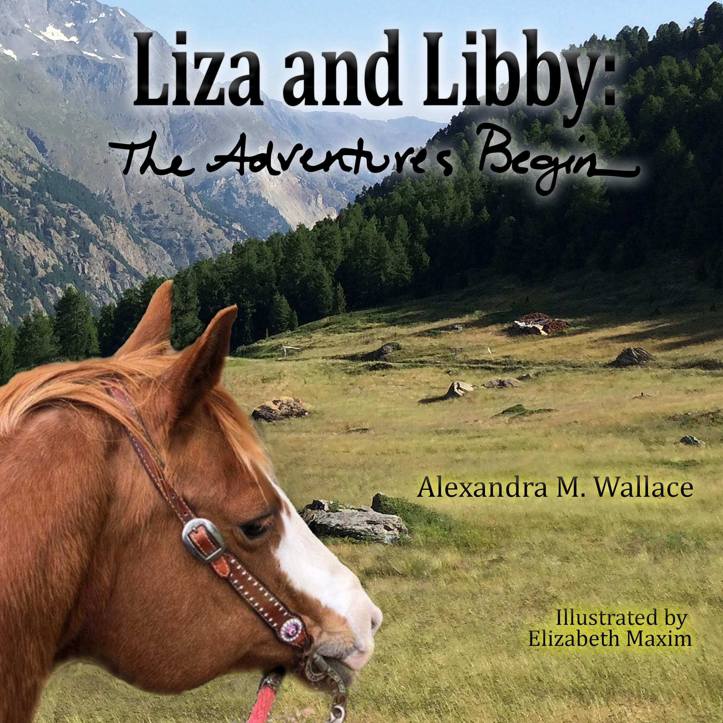 Cover art for Liza and Libby: The Adventures Begin