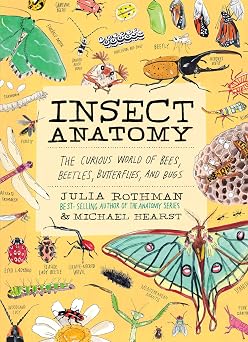 Insect Anatomy The Curious World of Bees, Beetles, Butterflies, and Bugs
