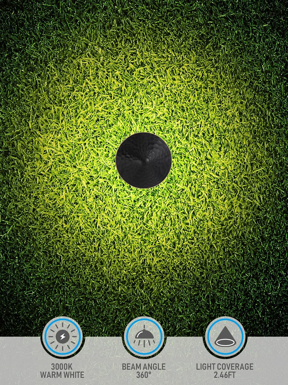 LEONLITE 12-Pack Low Voltage Pathway Lights, 3W 12-24V AC/DC CRI90+ Low Profile LED Landscape Path Lights, Cone Head with Vintage Texture & Vintage Golden Edge, Waterproof, Black Aluminum Housing