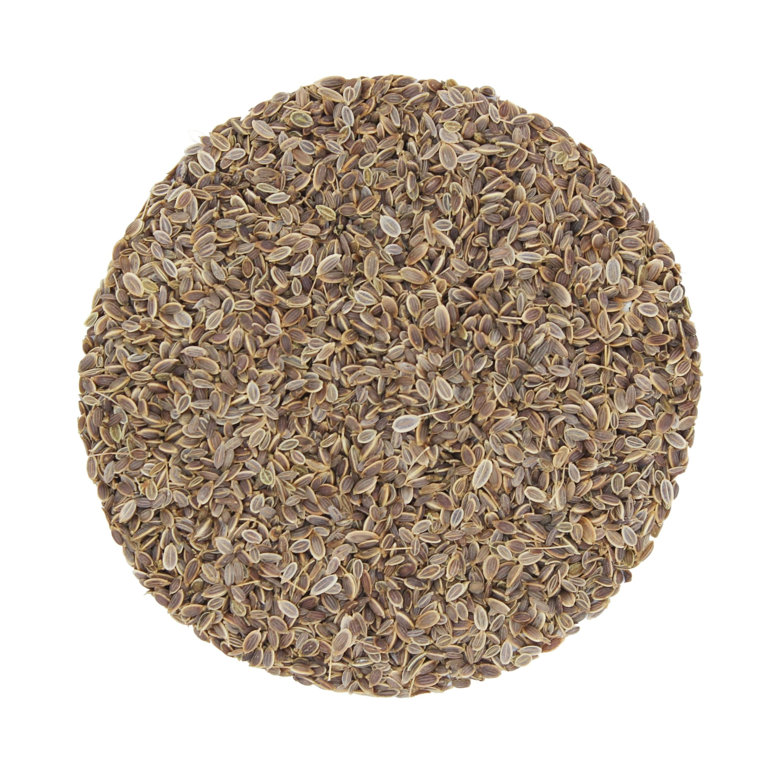 1000Kräuter Dillsaat Dillsamen ganz Saat Samen Küchengewürz Gurkenkümmel Anethum graveolens Dill Seed (2000g)
