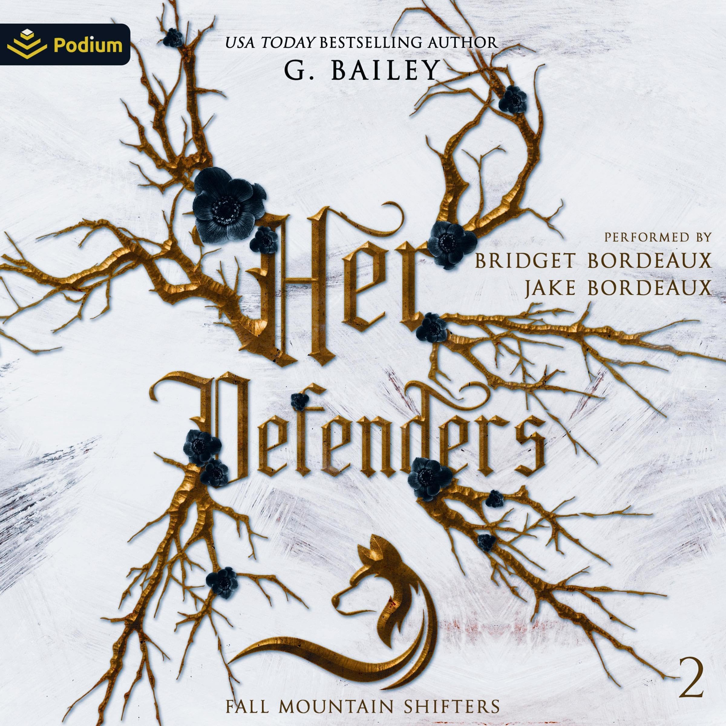 Cover art for Her Defenders