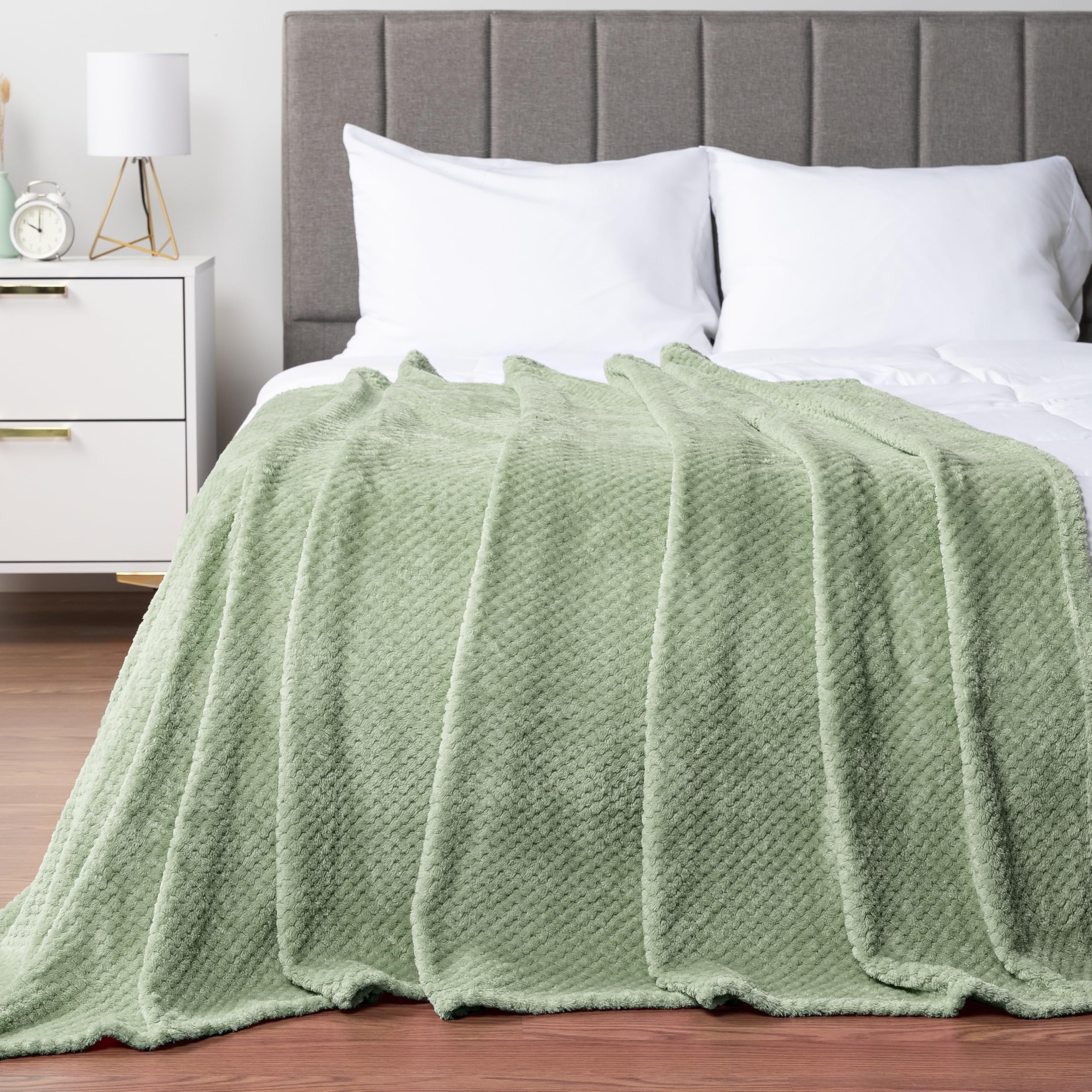 Amazon.com: PAVILIA Sage Green Throw Blanket for Couch, Twin Bed