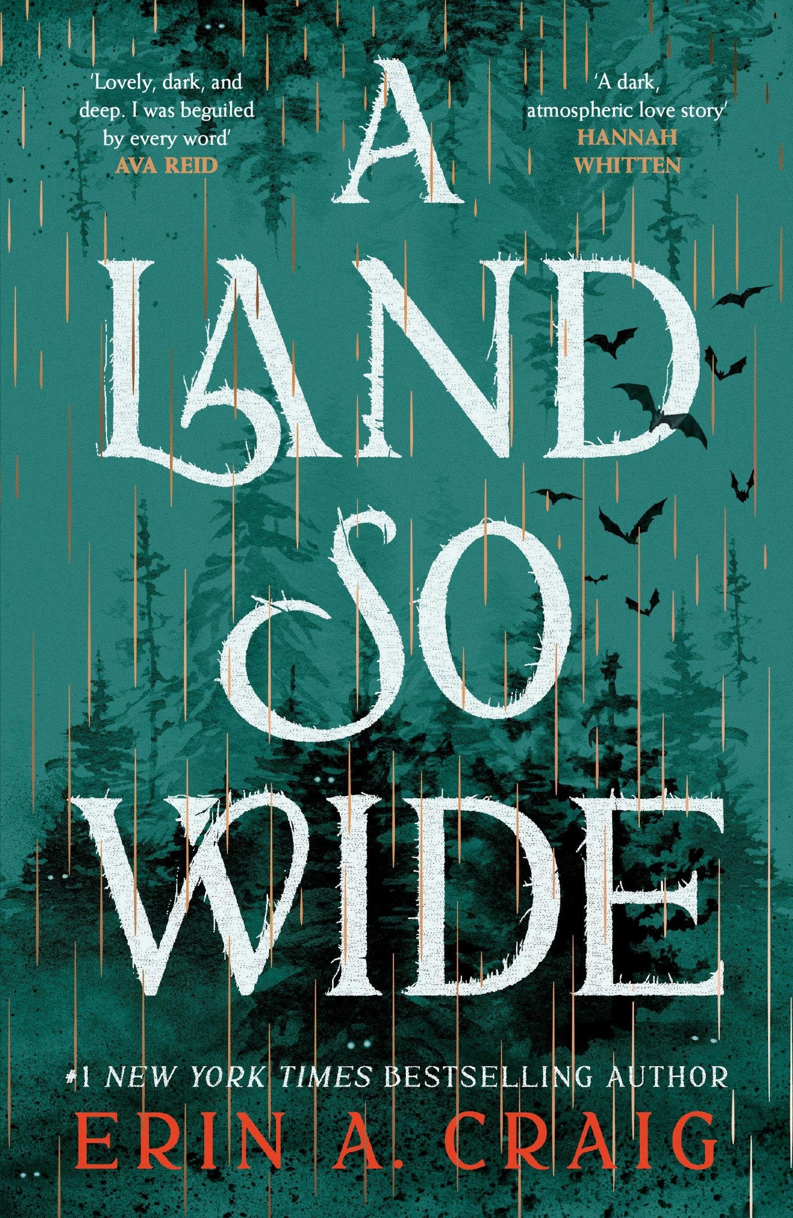 A Land So Wide: A breathtaking, deliciously dark fairy tale from #1 New York Times and USA Today bestselling author Erin A. Craig