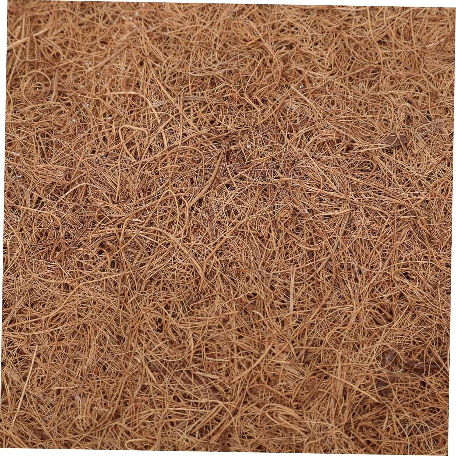 BESPORTBLE 4pcs Coconut Fiber Mat Terrarium Bearded Dragon Decor Leopard Gecko Accessories Reptile Carpet Coir Liner
