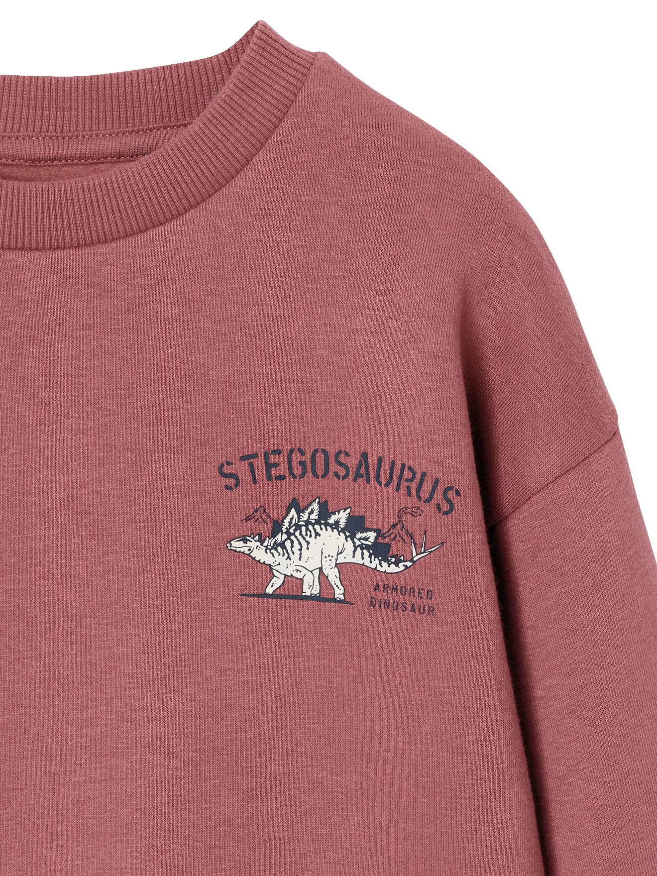 VERTBAUDET Lot de 2 Sweats Cool and Fun