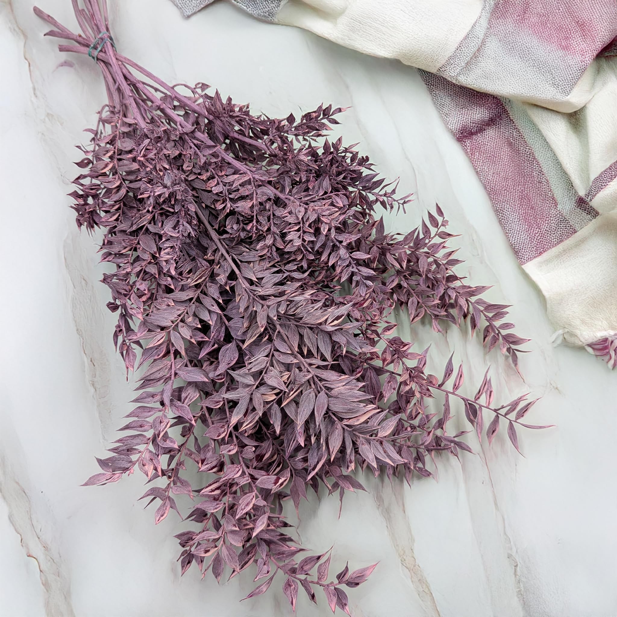 Enchanted Fleurs Séchées Naturelles, Ruscus Stabilisé, 100 g, Violet Mat