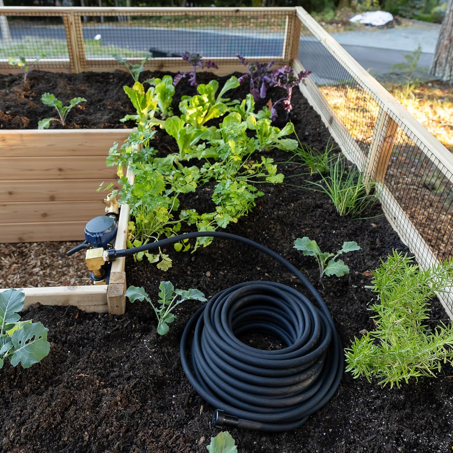 Outdoor Living Today Raised Garden Bed, Outdoor, 8x5 ft, Western Red Cedar, 96x60x33.5 Inch