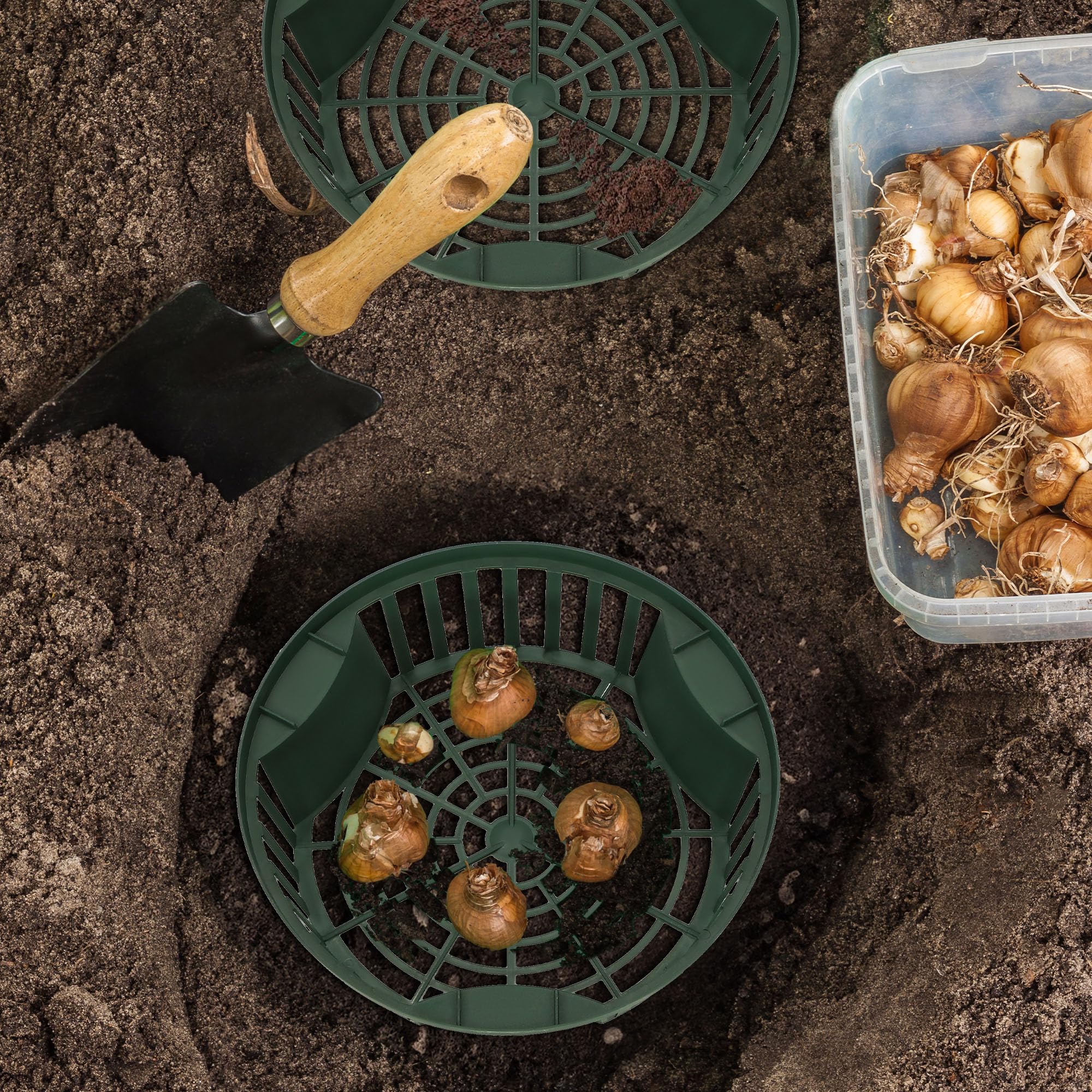KOTARBAU® Set 10 pièces Panier À Bulbes - ⌀ 215 mm - Vert - Corbeille Plantation Tulipes - Accessoire Plantation Bulbes - Plastique
