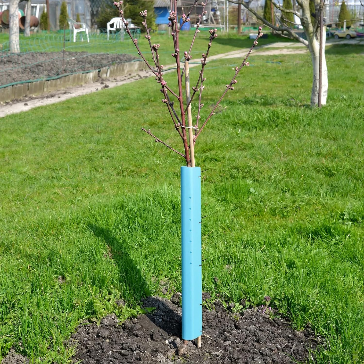Pushglossy 5 Pack 48 Inch Tree Seedling Sapling Grow Tube Blue Standard Vented Seedling Protector Split Tree Plant Shelter Guard with Releasable Zip Ties for Outdoor Cutting, Against Deer Rodent