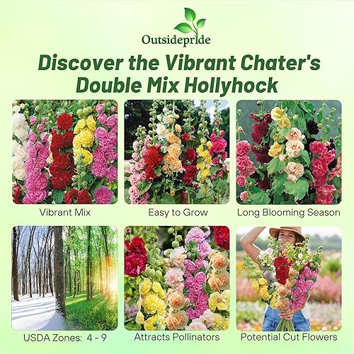 Miniatura 2 de Outsidepride Alcea Rosea Hollyhock - Mezcla de plantas trepadoras de flores de jardín doble - 100 semillas