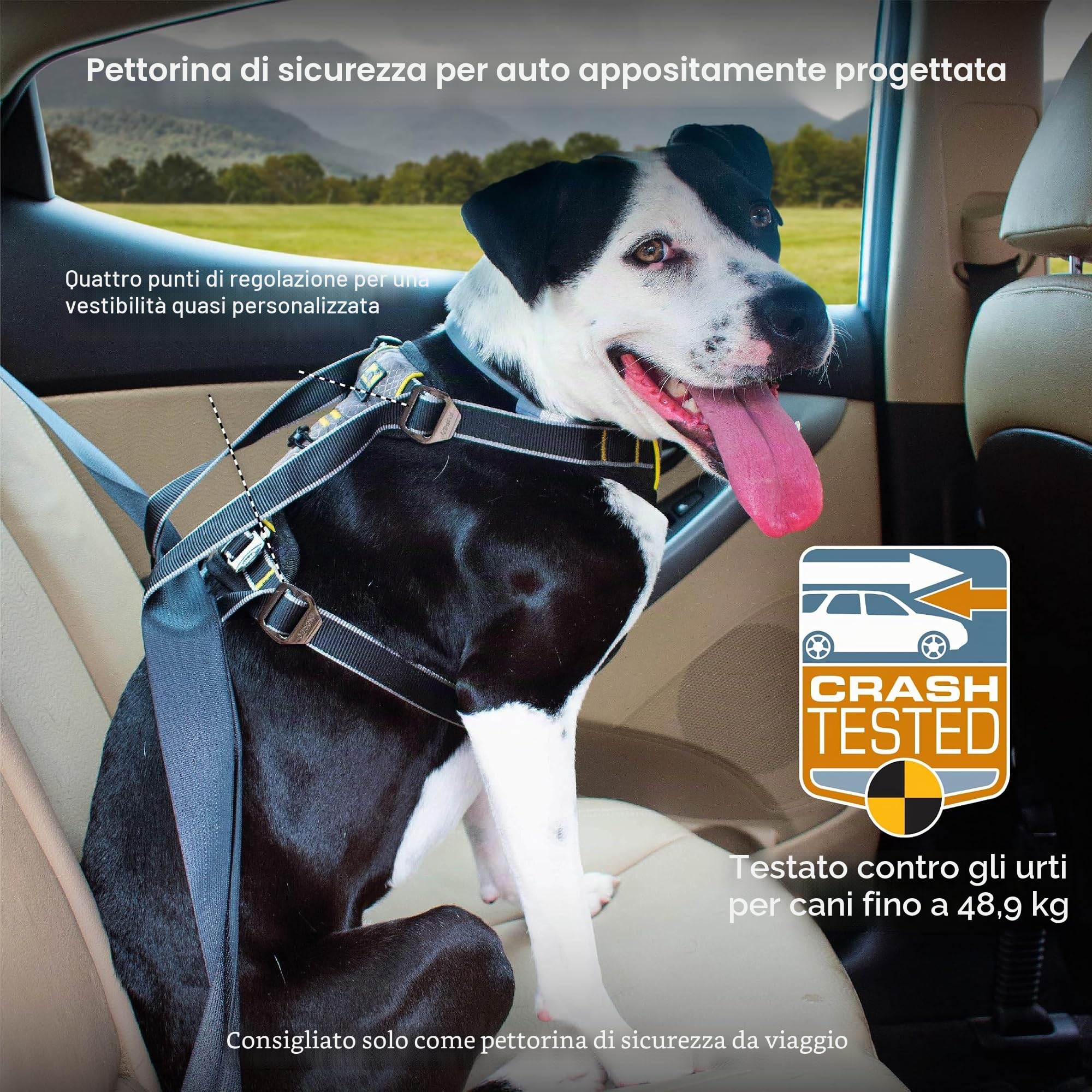 Kurgo Pettorina auto per cani Impact, crash test, pettorina di sicurezza per cintura auto, fino a 49 kg, per cani piccoli, medi e grandi, nero/antracite, Small