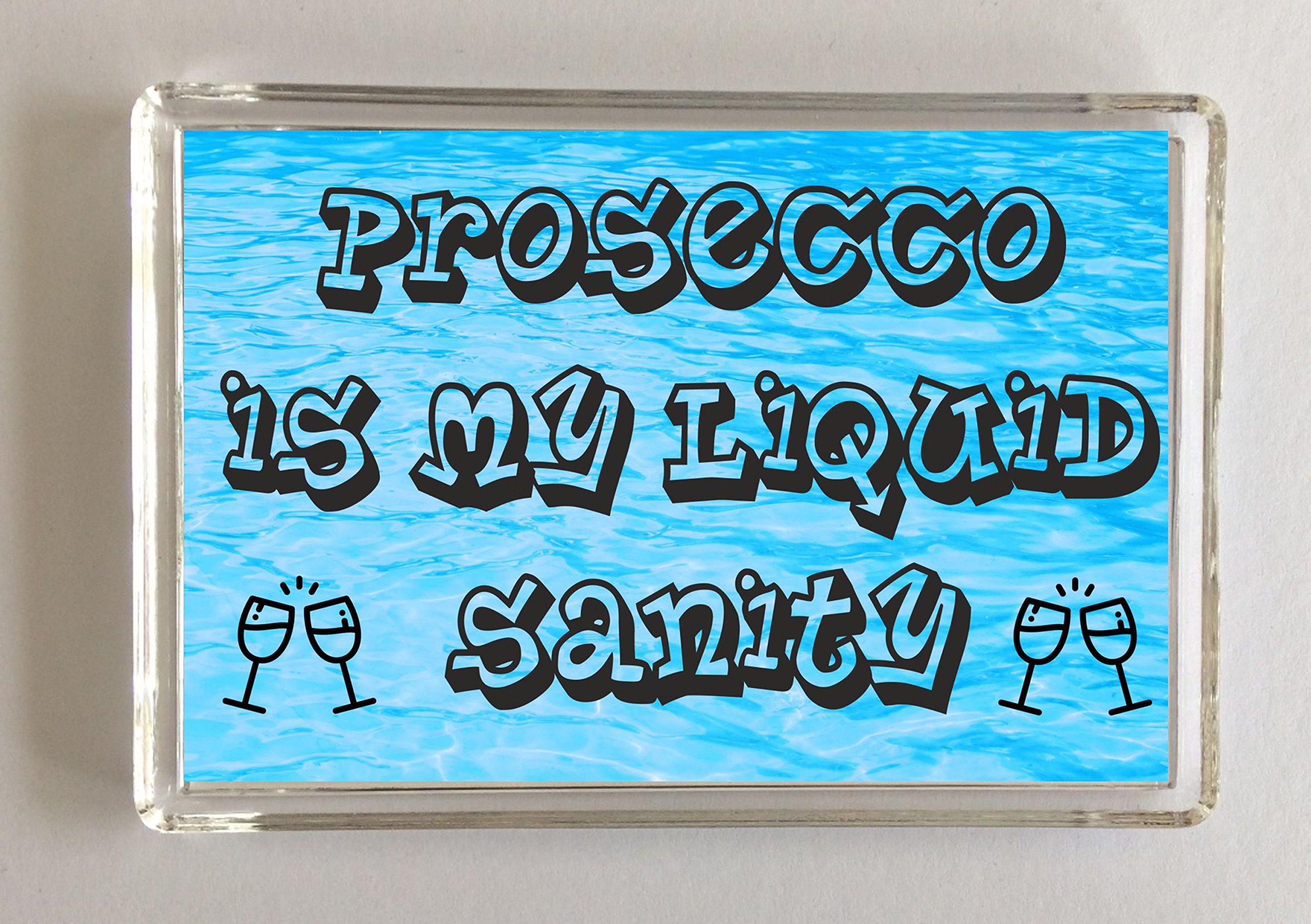 Clare's Cosmetics Fun Prosecco Gift - Liquid Sanity - Novelty Fridge Magnet