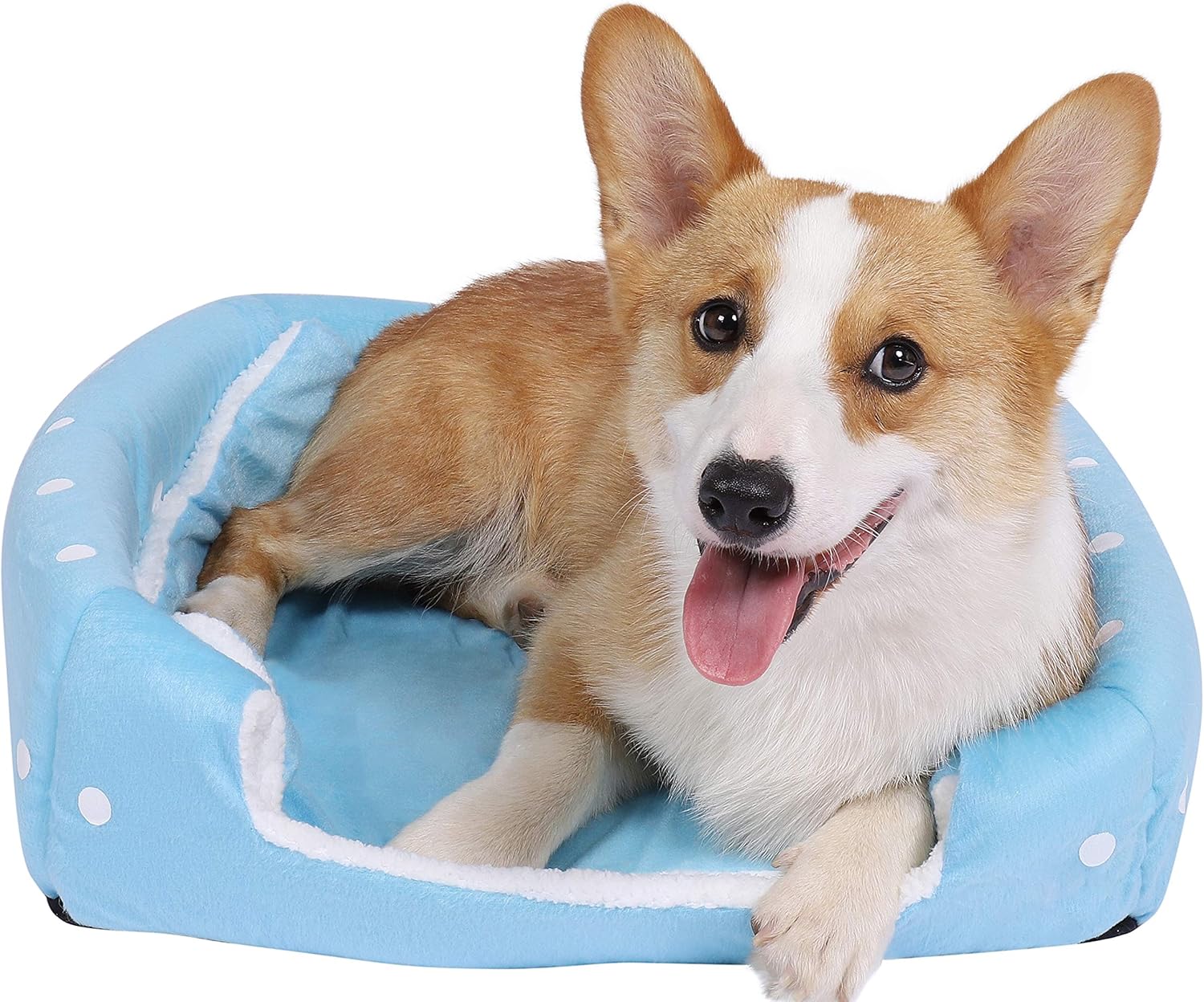 Cozy Comfort: Review of the XL Spring Fever Pet Bed for Small Animals