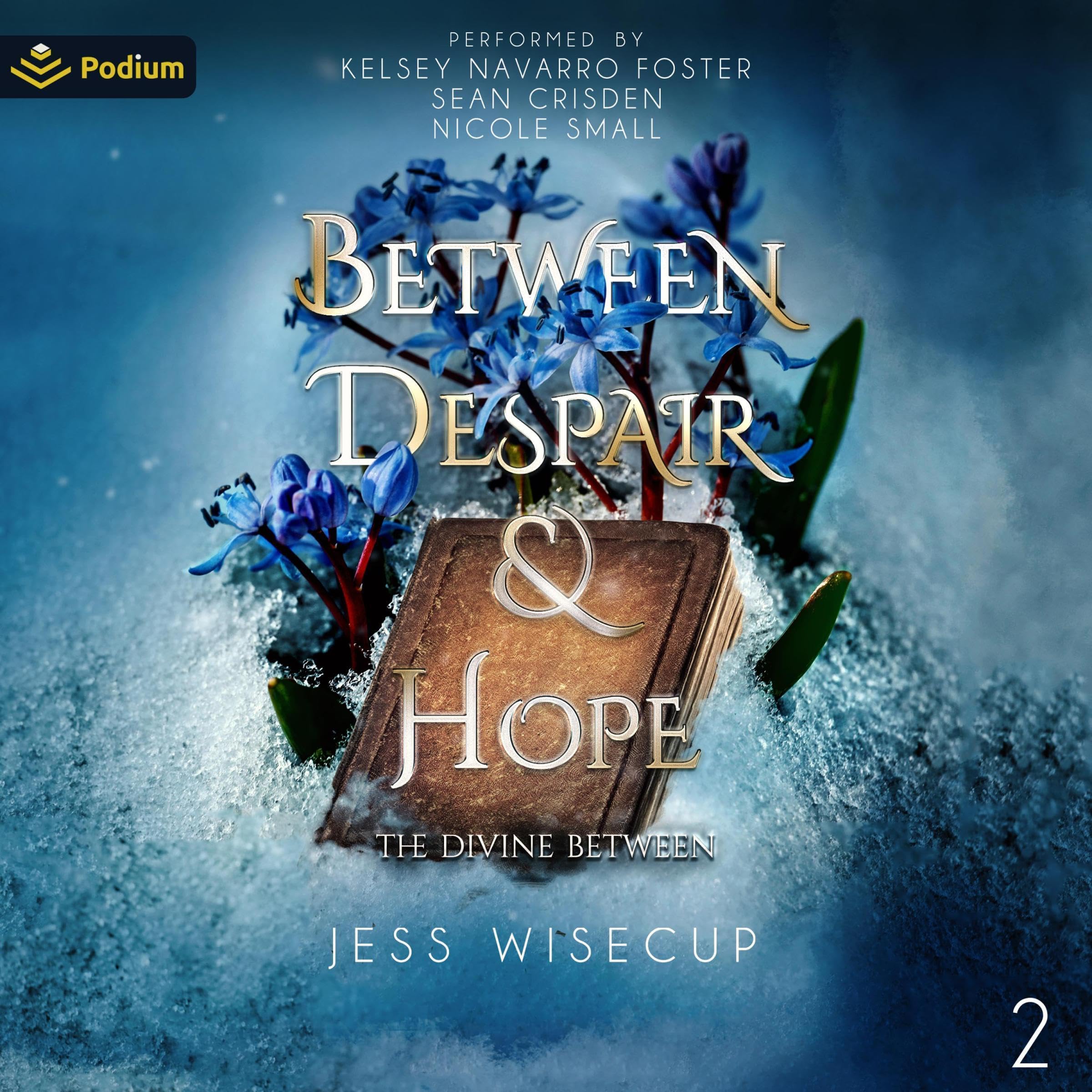 Cover art for Between Despair and Hope