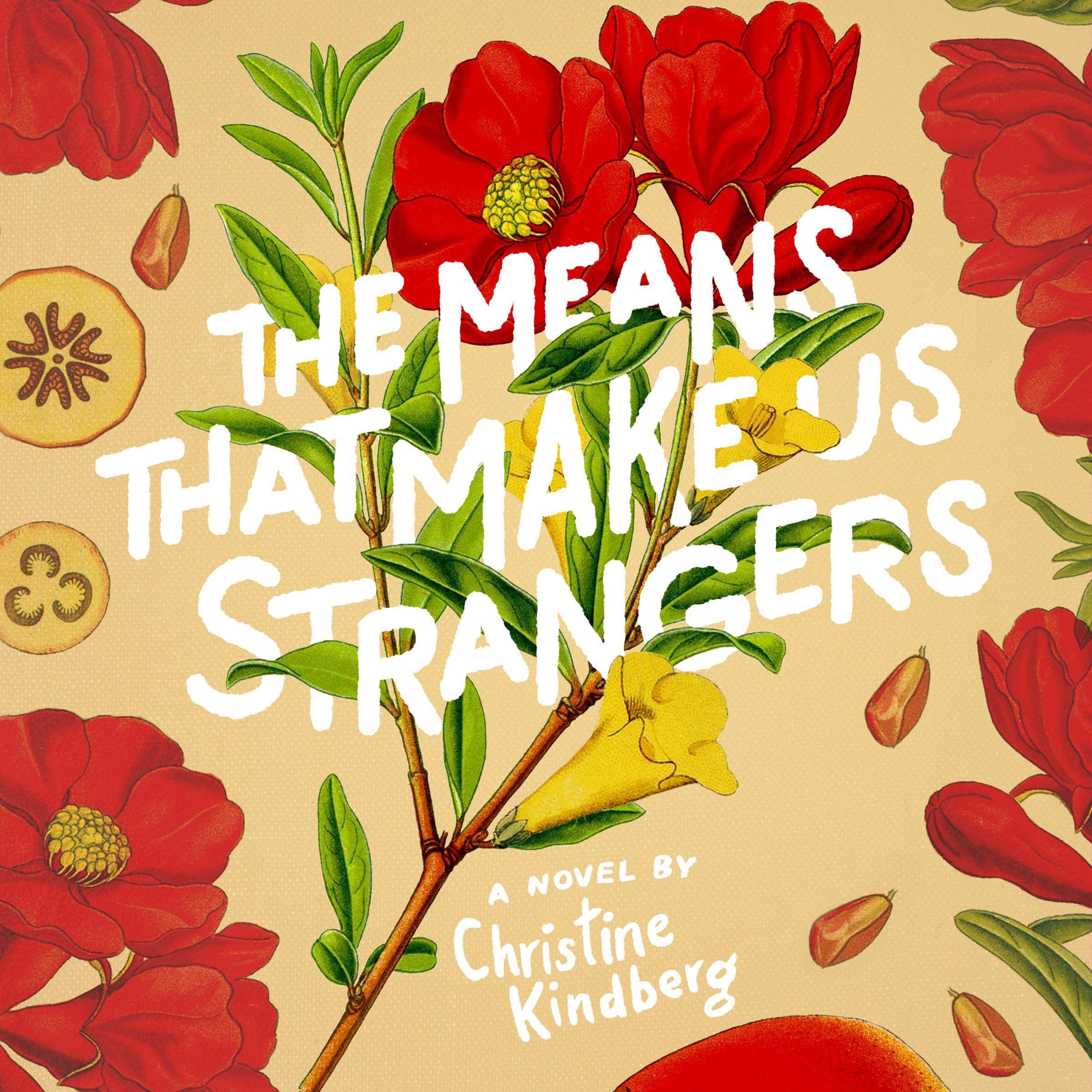 Cover art for The Means That Make Us Strangers