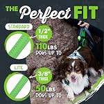 Mighty Paw Retractable Dog Leash 2.0 - Auto-Locking Button For The Control When You Need - Stainless Steel Coil For Smooth Retraction - Super Reflective Ring For Nighttime Visibility - No More Tangles