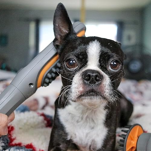 Miniatura 8 de PAW WAVE Buzz - Cepillo terapéutico masajeador de vibración para mascotas para perros y gatos diseñado para ayudar a calmar la tensión aumentar la