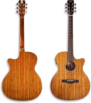 41" Electric Acoustic Guitar Top Solid Walnut Back&Side Walnut Mahogany Ncek D-102HC