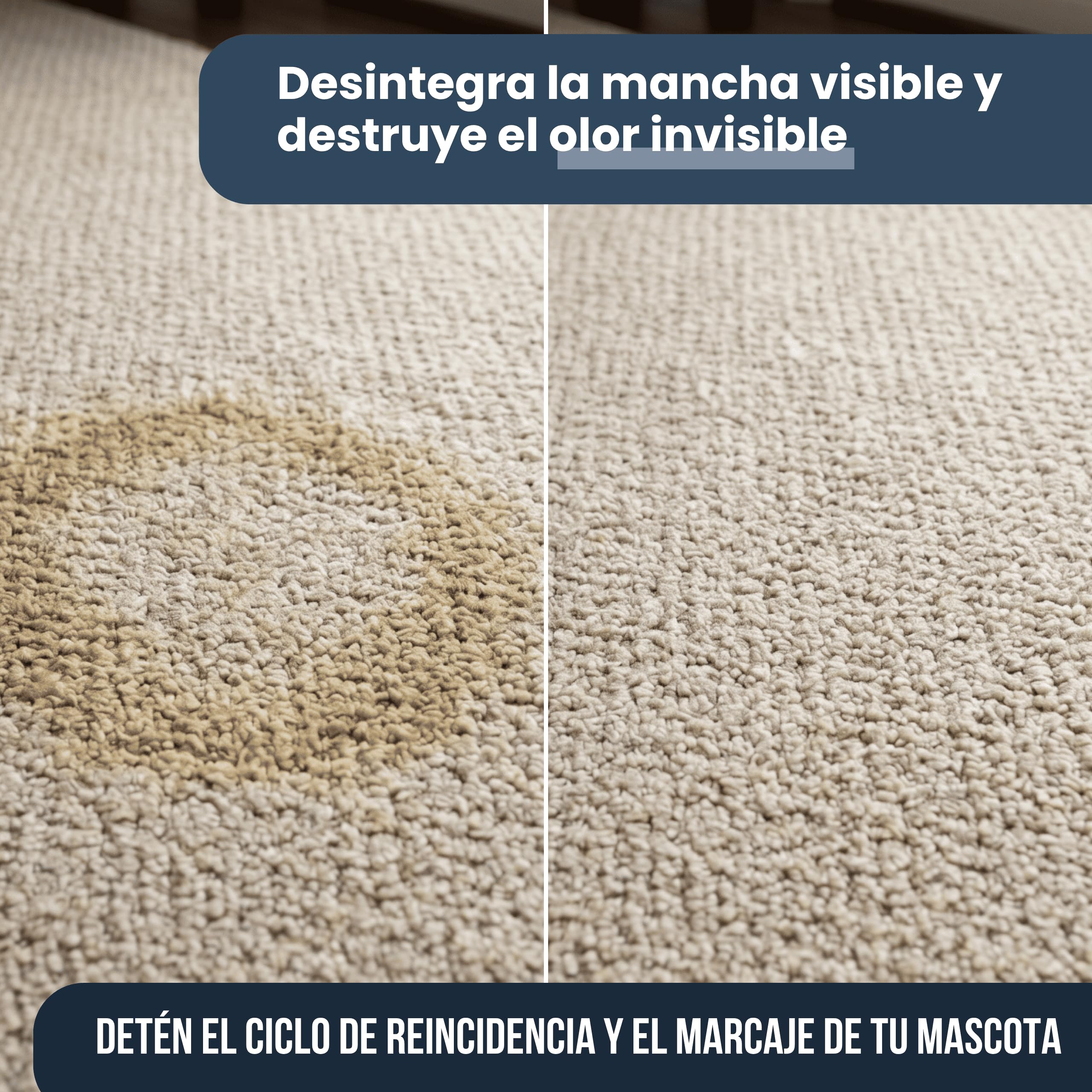 Kit 3 Limpiadores Enzimáticos - Elimina Orina Mascotas, Perros y Gatos