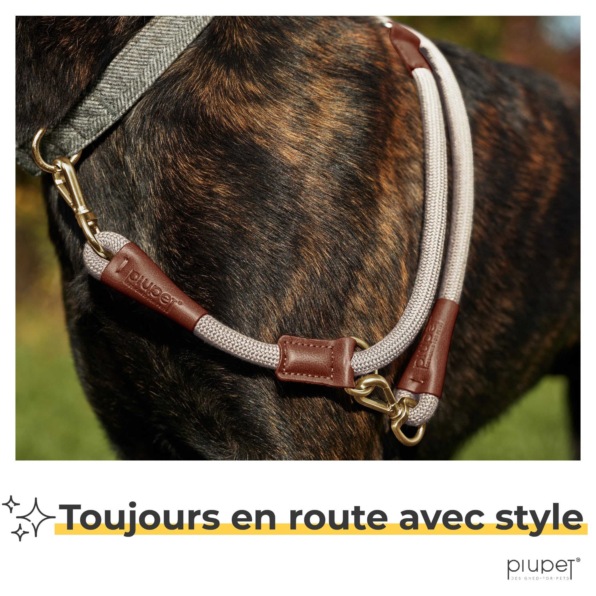 Animal Boulevard Country Leather Gevlochten hondenriem - Bruin → Dierencompl Animal Boulevard Country Leather Gevlochten hondenriem - Bruin → Dierencompl