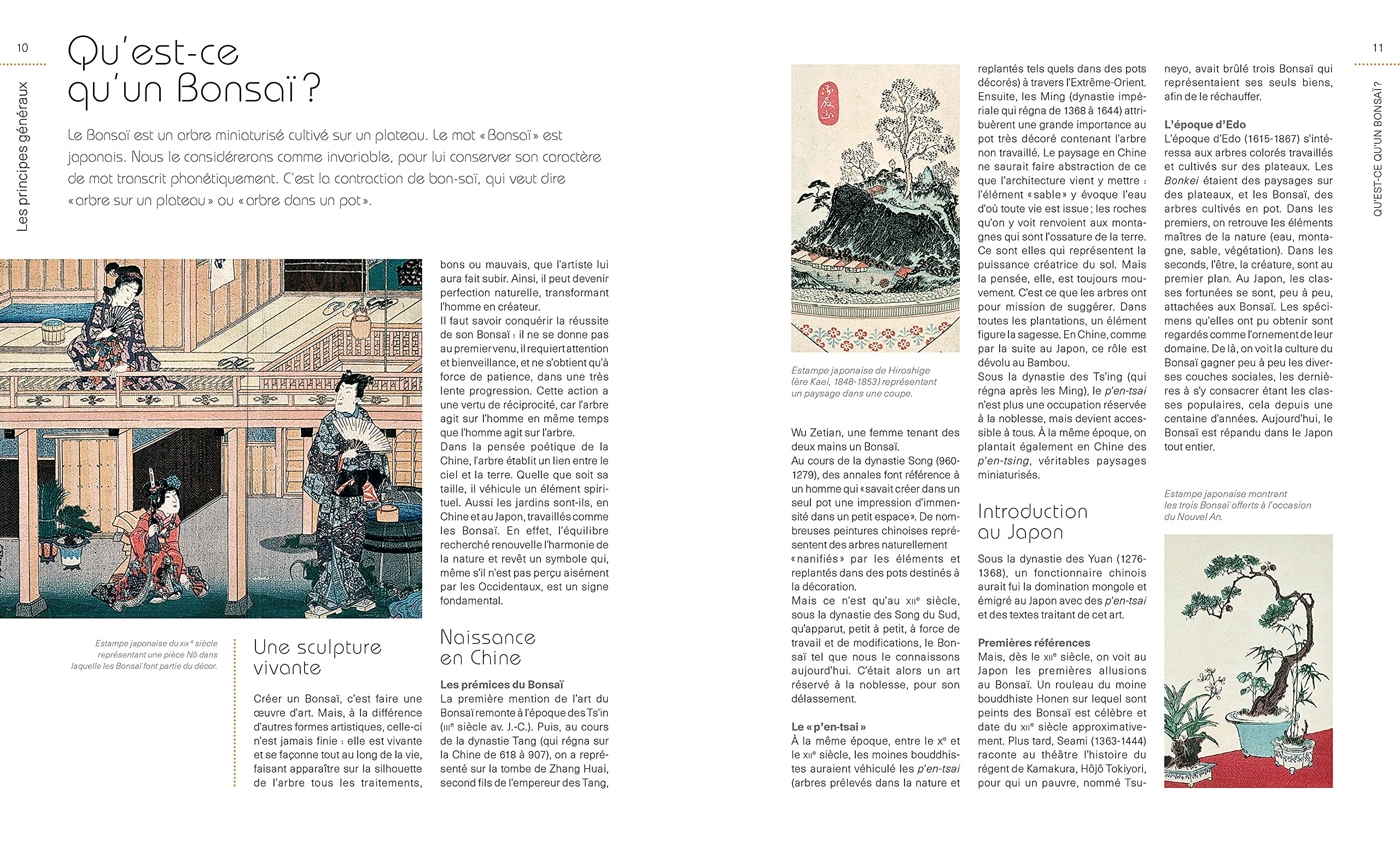 Le Petit Larousse des bonsaï: Plus de 120 espèces à découvrir