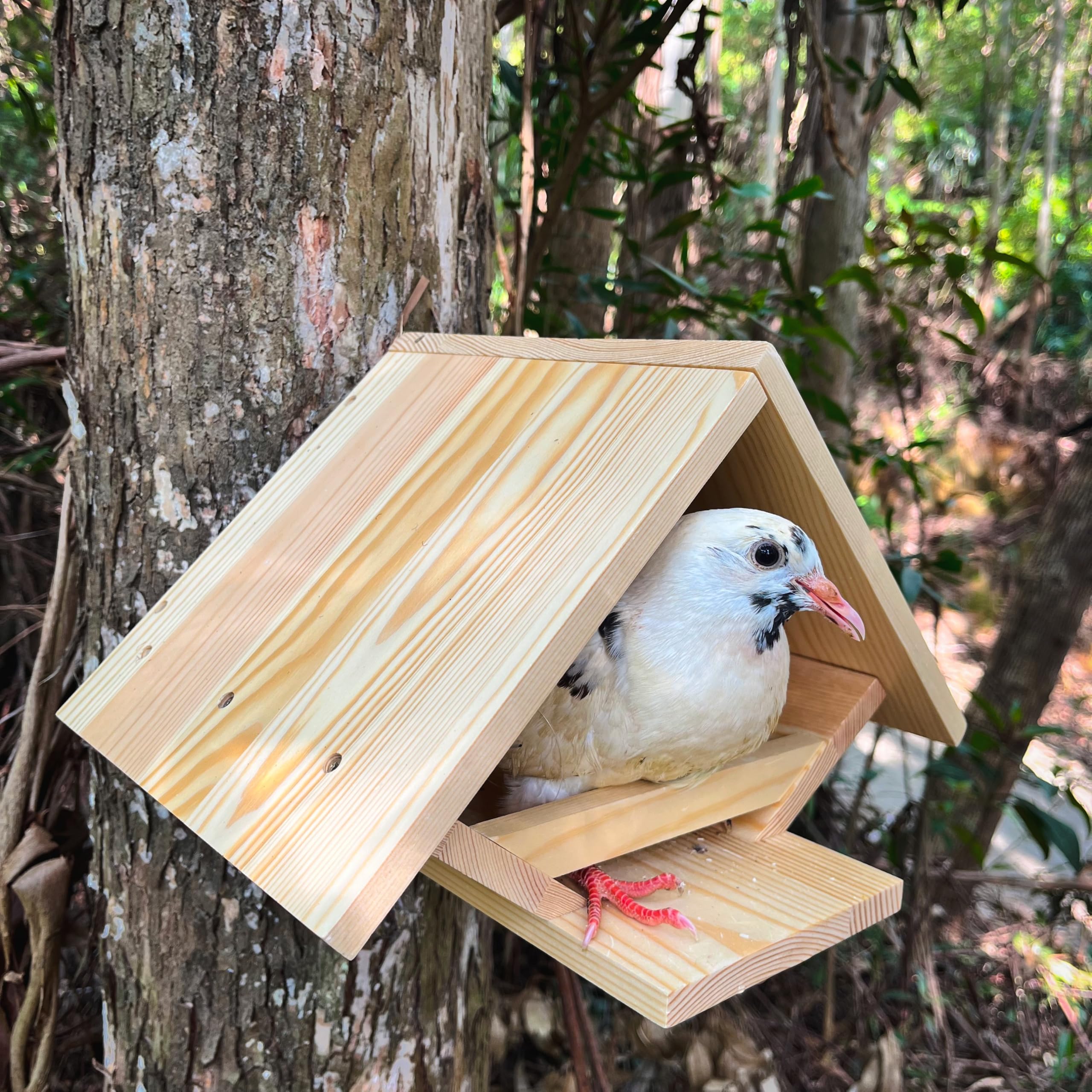 Paloma para pájaros, paloma de luto, caja de anidación para palomas, plataforma de nido abierto | Para palomas de luto, palomas, diseño abierto, para jardín trasero, pájaros pequeños y medianos, no grandes
