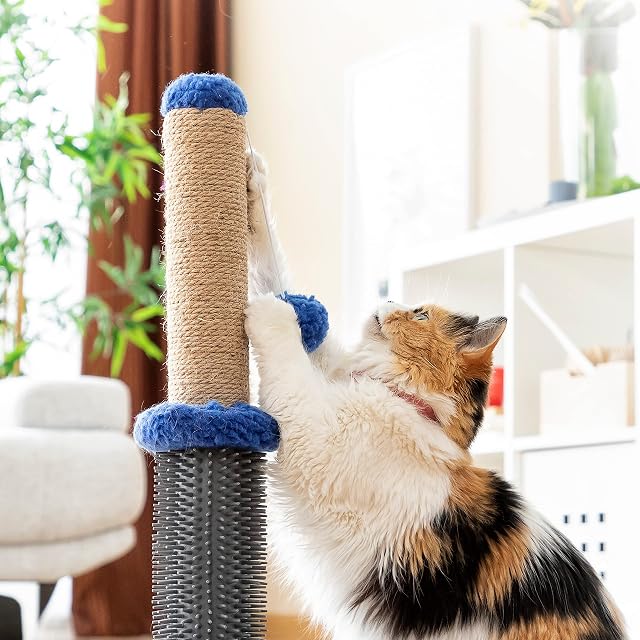 Foto 5 de 8 de InnovaGoods® Poste rascador masajeador con Pelota para Gatos Miausage