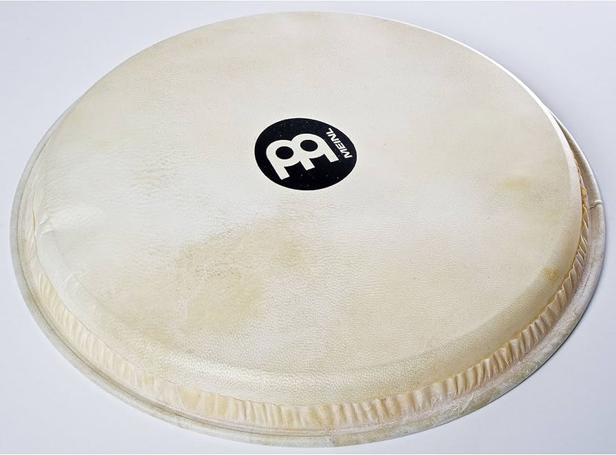 Amazon | MEINL Percussion マイネル ジャンベヘッド 12 TRUESKIN GOAT