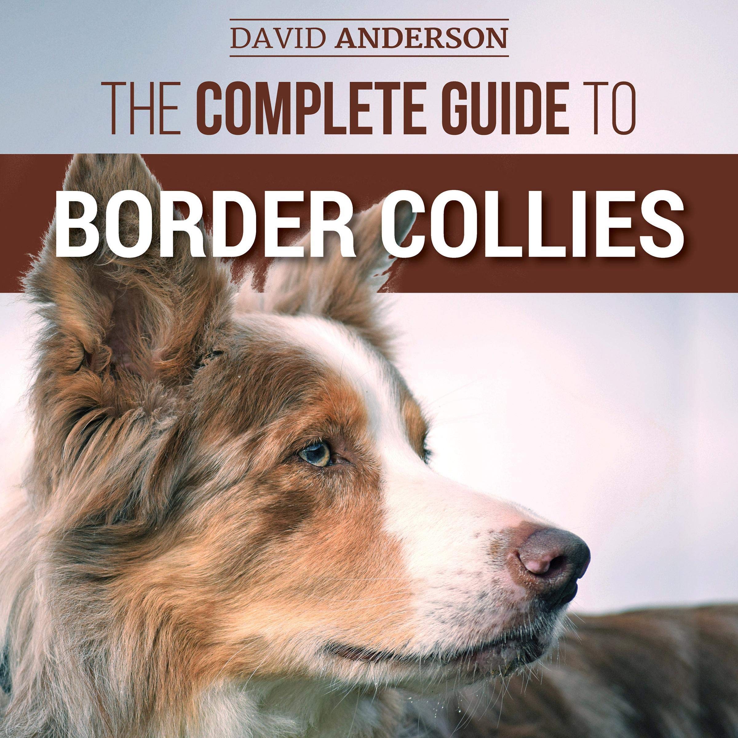 Cover art for The Complete Guide to Border Collies