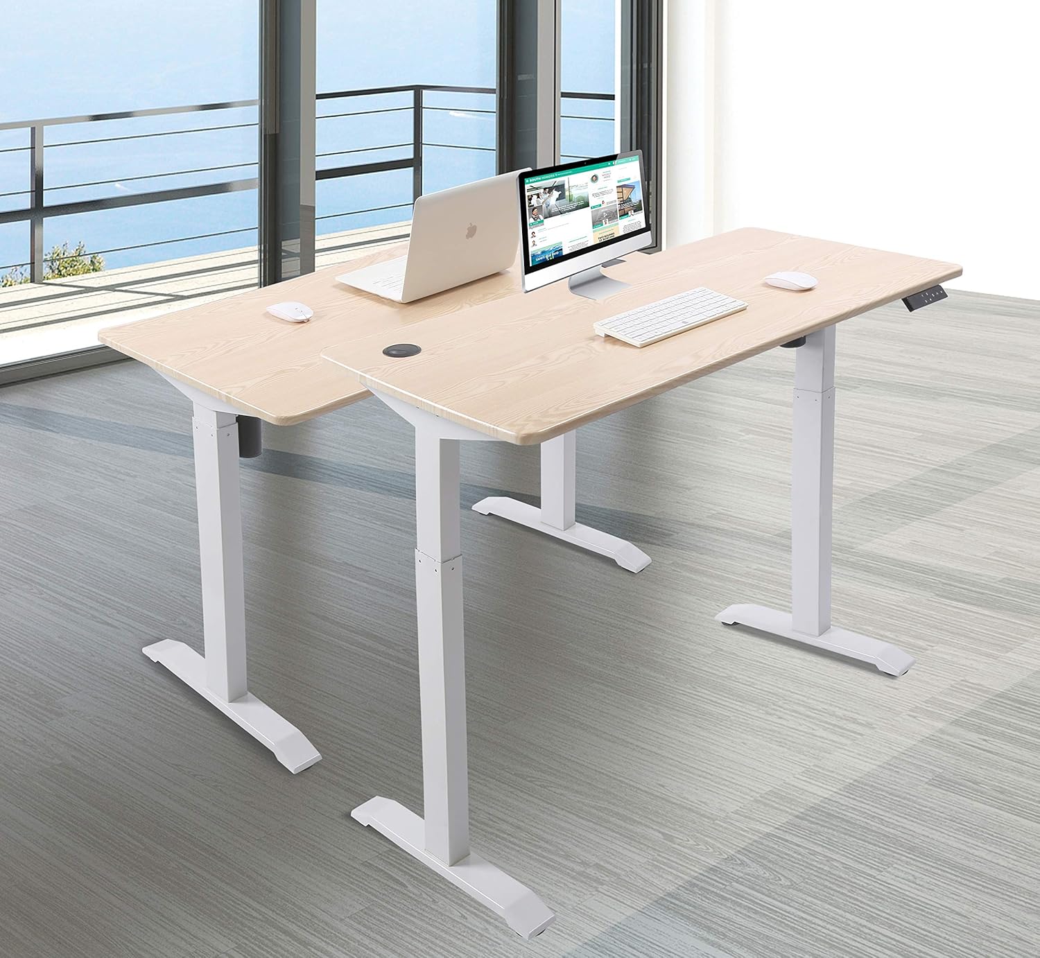 UNICOO Electric Height Adjustable Standing Desk, Electric Standing Workstation, Sit Stand Home Office Desk, Gaming Table, Whole-Piece Desktop Board 48 * 24 in (KT1001-LW)