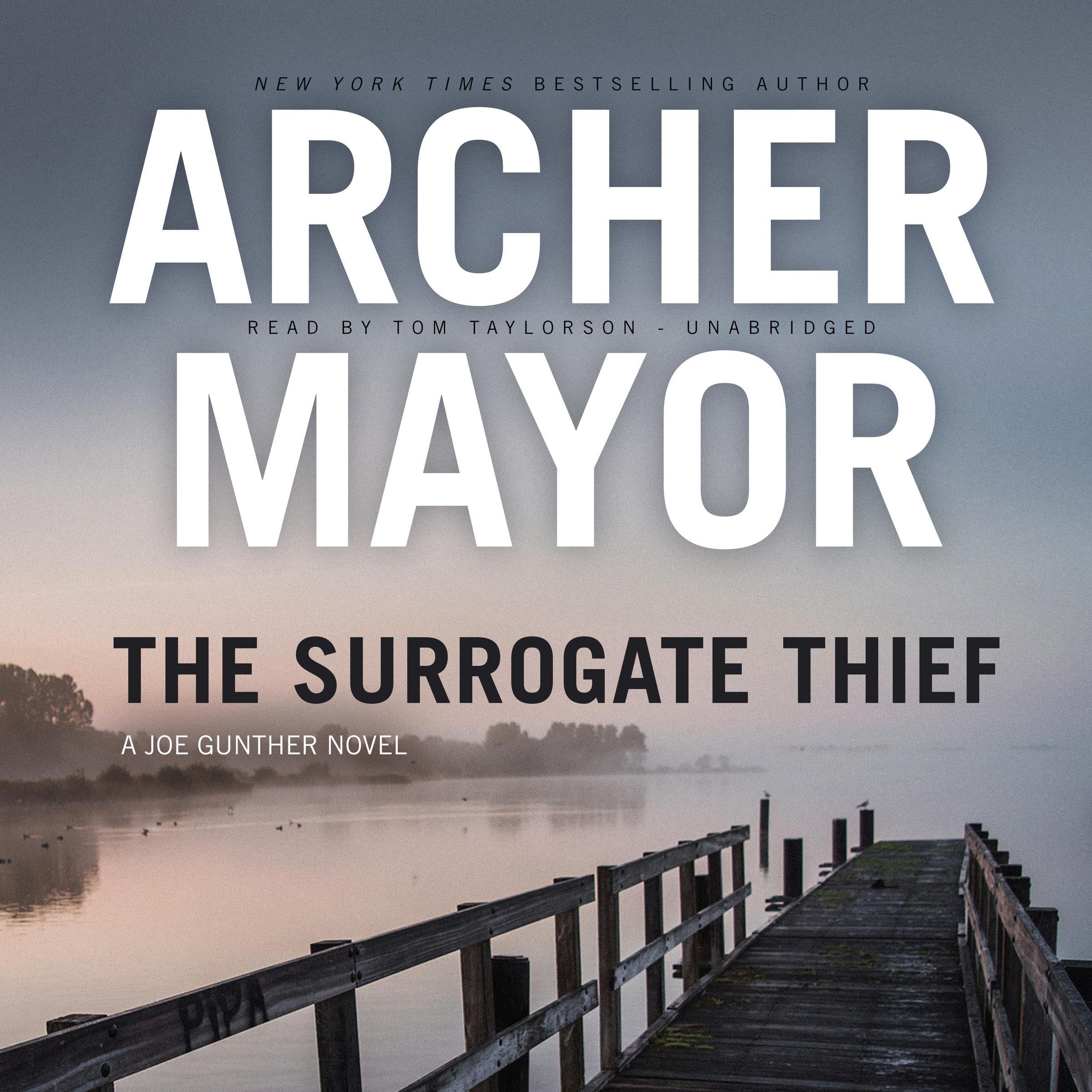 Cover art for The Surrogate Thief