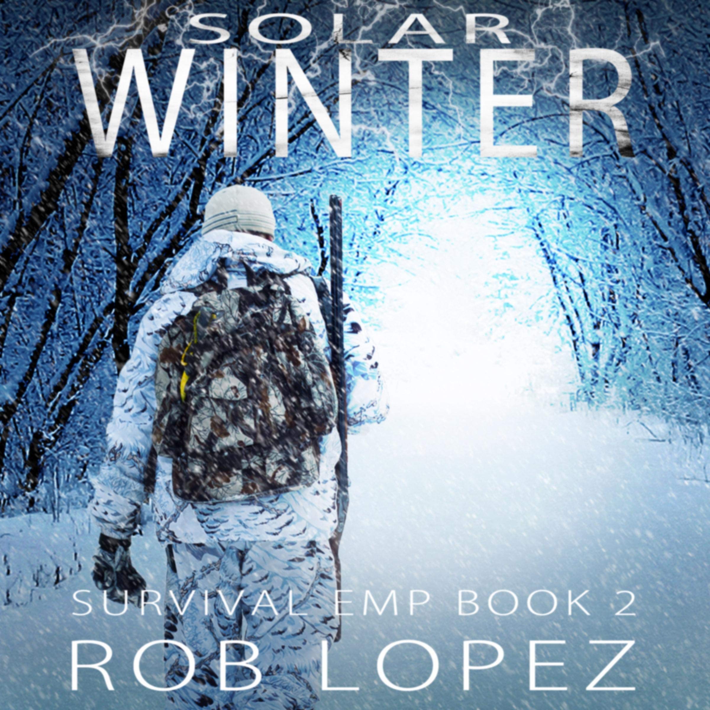 Cover art for Solar Winter