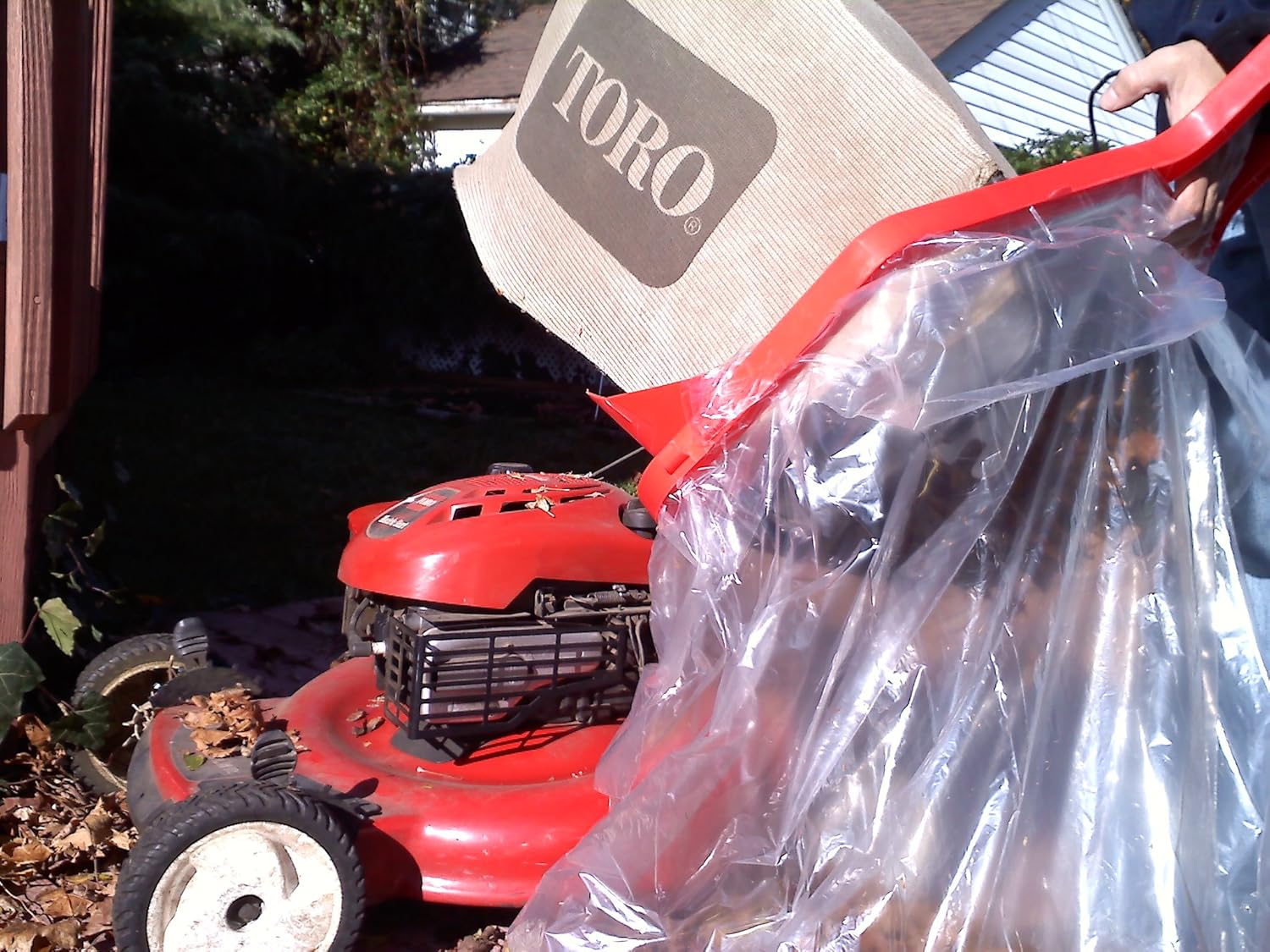 Lawn Care, Garden, Basement Garage Clean up: Holds bags open no hands needed