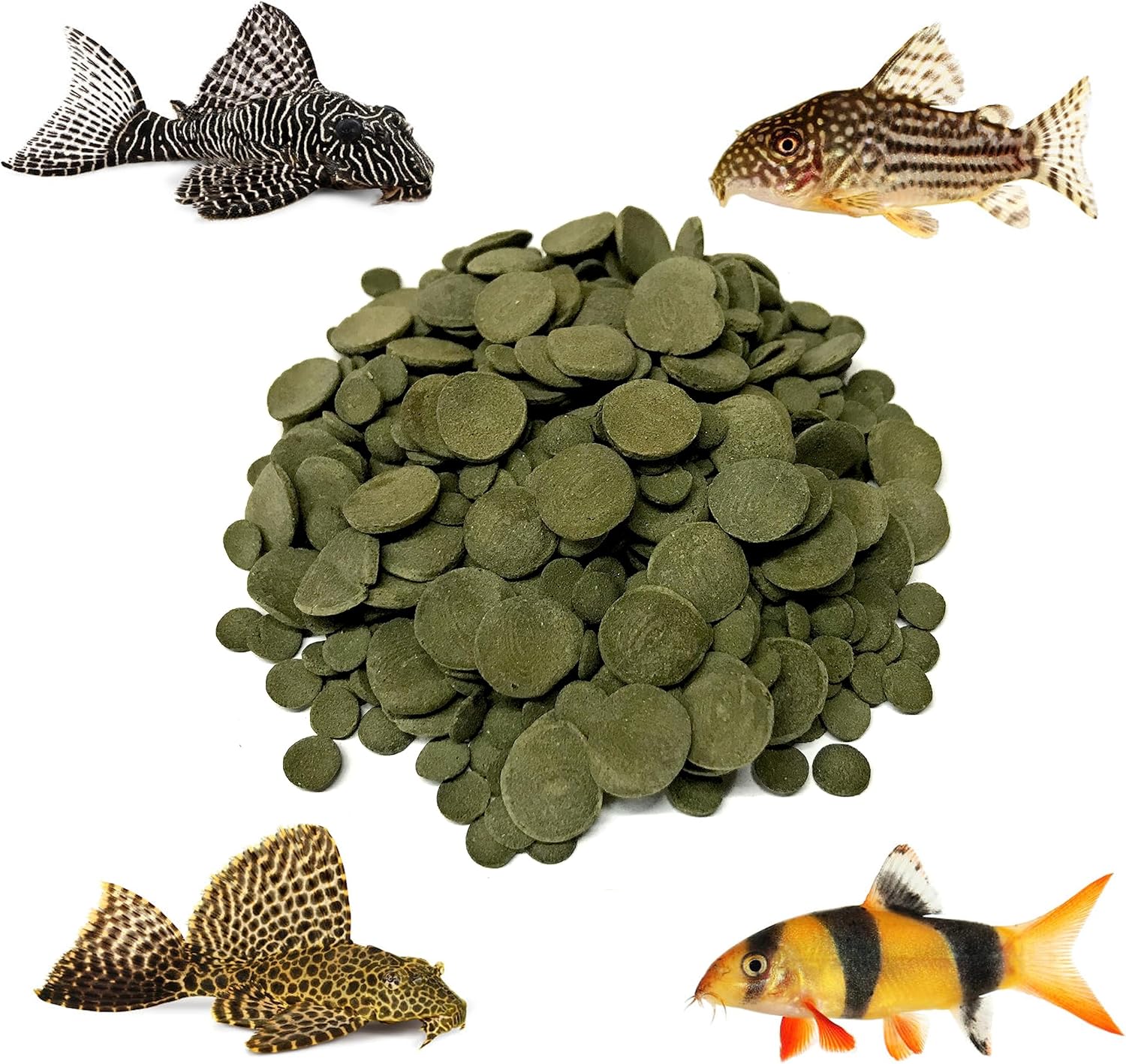 Mixed 8 mm and 12 mm Algae Wafer - Sinking Algae Wafers That Provides Balanced Diet for Plecos, Snails, Cory Cats, Catfish, Shrimp, and Crayfish (2 Pound)